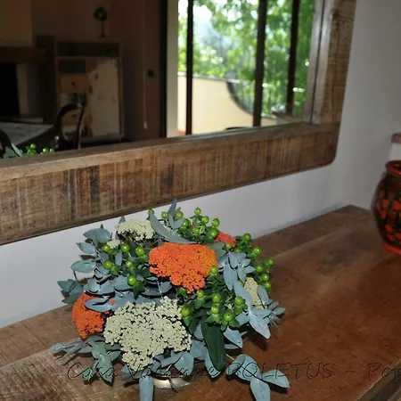 Casa Vacanze Boletus * Poppi